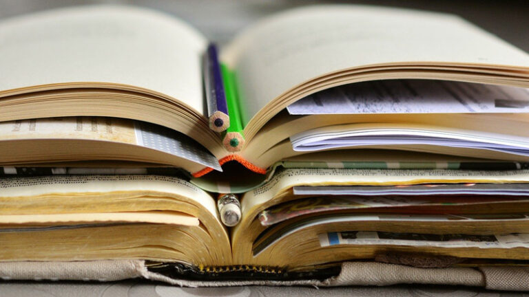Die wissenschaftliche Arbeit